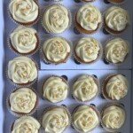 MDT 1 Terugblik op "Bonding" | Nora Nova MDT 1 Terugblik op "Bonding" | Nora Nova