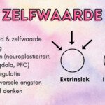 MDT 1 Terugblik op "Slides" | Nora Nova MDT 1 Terugblik op "Slides" | Nora Nova